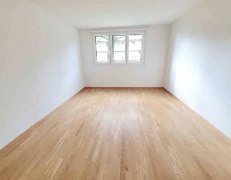 3 Zimmer-Wohnung, 8212 Neuhausen am Rheinfall SH (1)