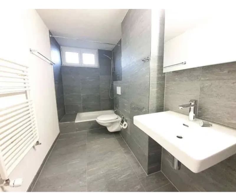 3 Zimmer-Wohnung, 8212 Neuhausen am Rheinfall SH (3)