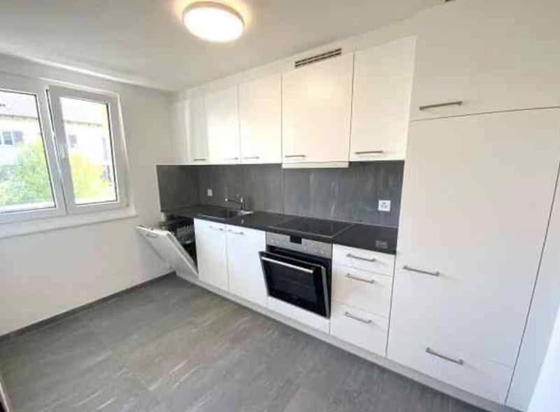 3 Zimmer-Wohnung, 8212 Neuhausen am Rheinfall SH (2)