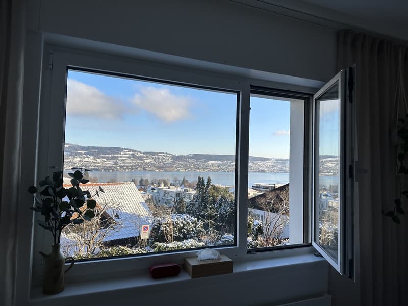 2.5-Zimmerwohnung mit Seesicht in Au ZH (7)