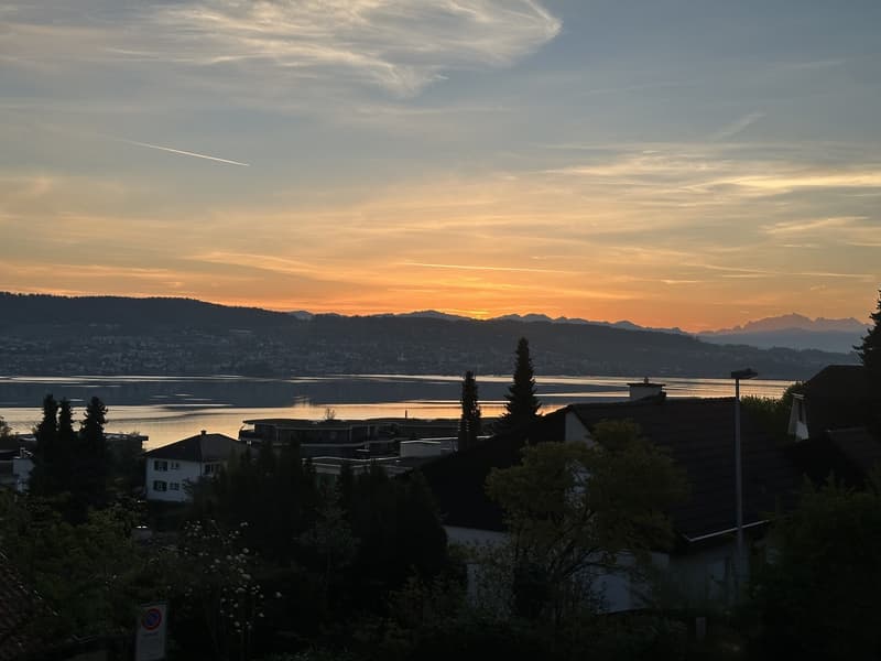2.5-Zimmerwohnung mit Seesicht in Au ZH (9)