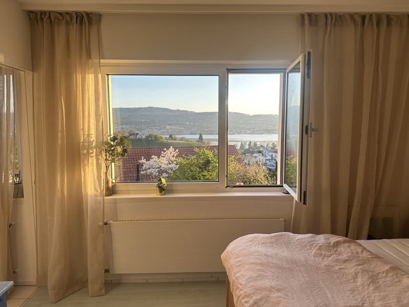 2.5-Zimmerwohnung mit Seesicht in Au ZH (6)