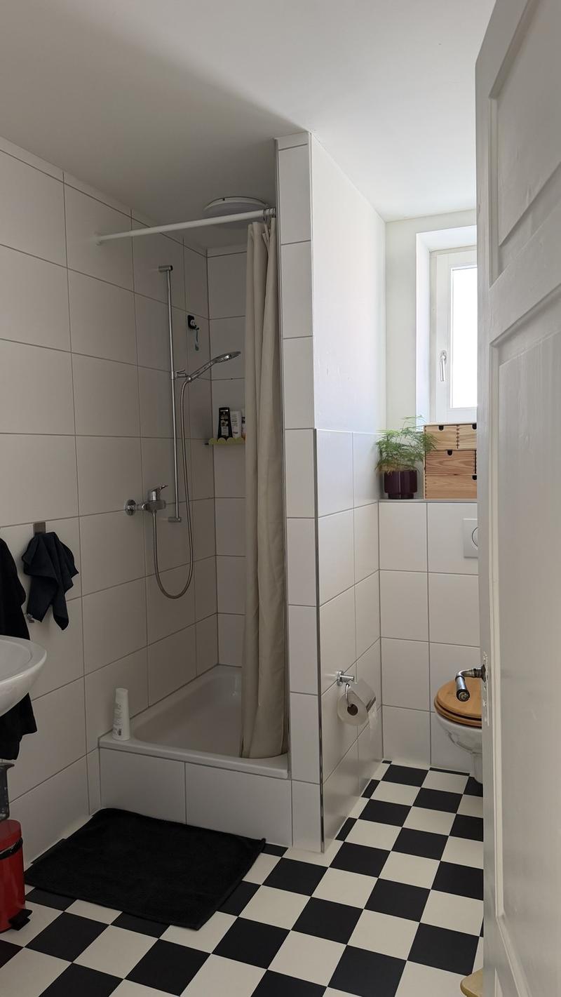 Schöne Altbauwohnung im St. Gallen (10)