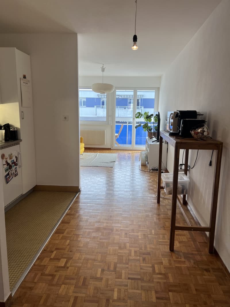 2-room Apartment in Lausanne (3)