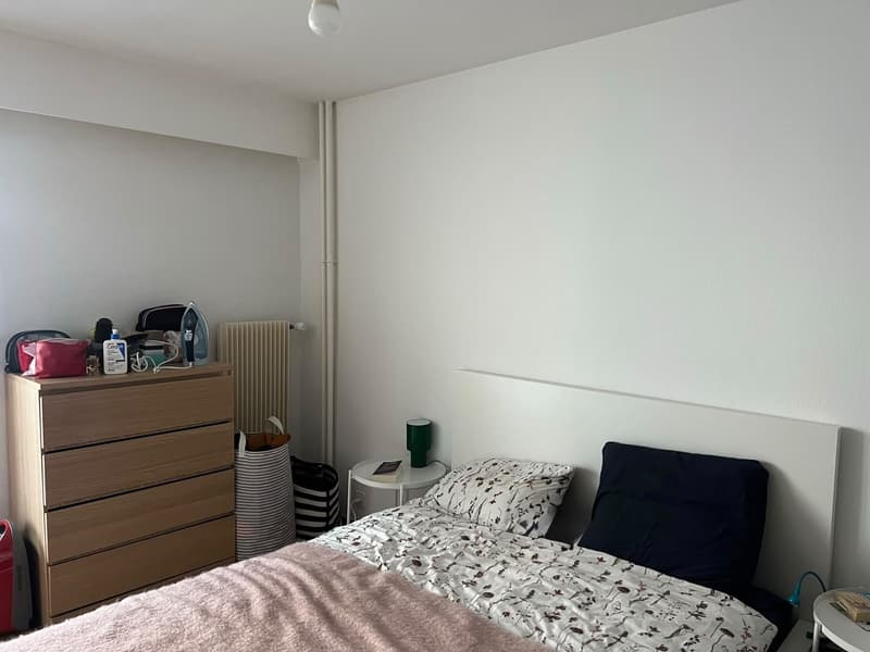 2-room Apartment in Lausanne (5)