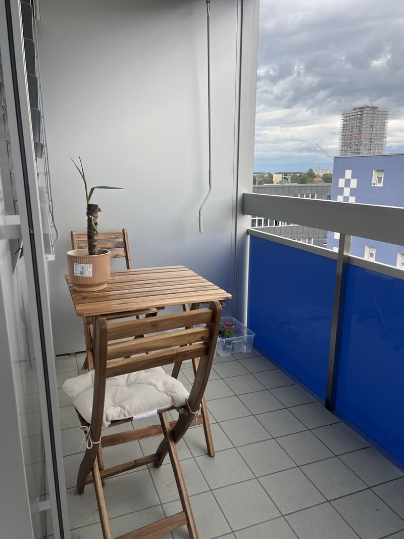 2-room Apartment in Lausanne (9)
