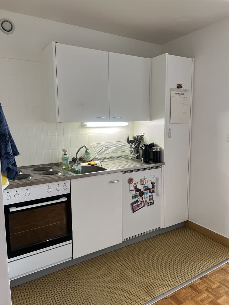 2-room Apartment in Lausanne (4)