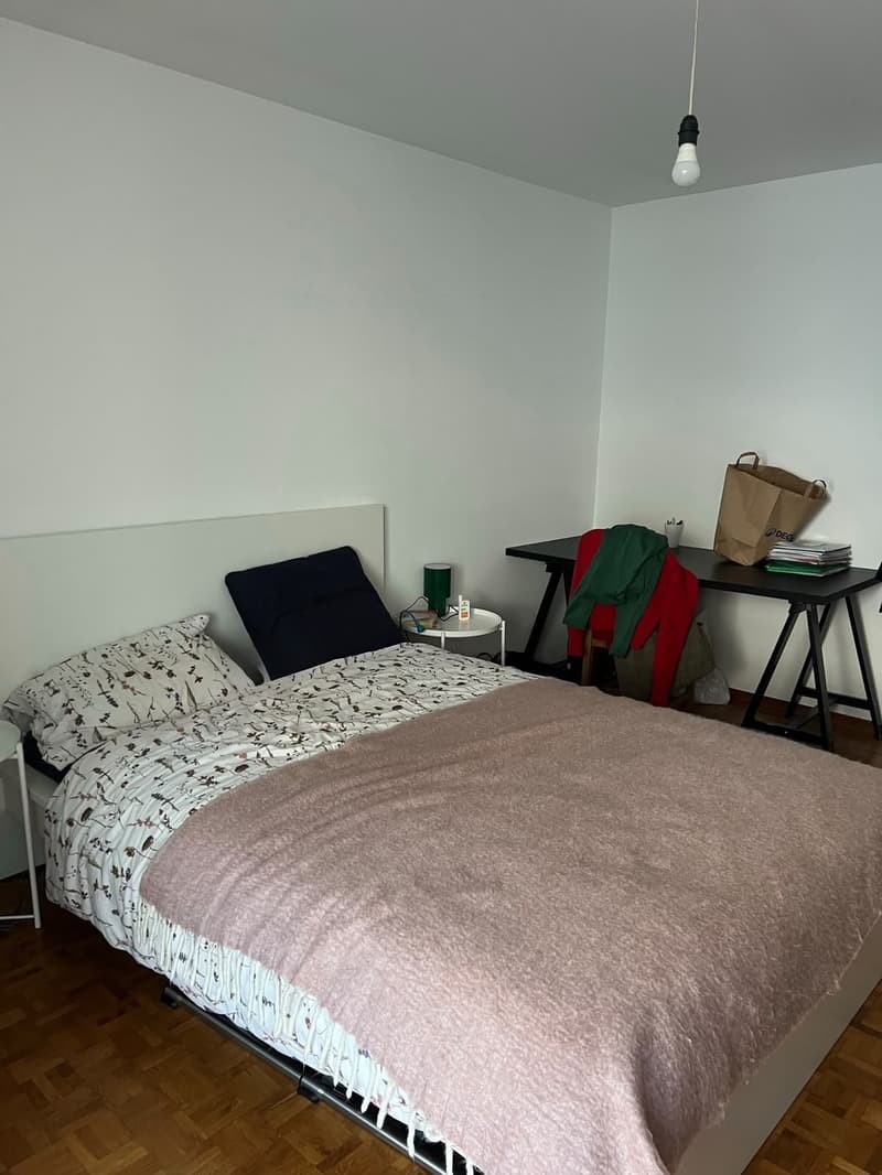 2-room Apartment in Lausanne (6)