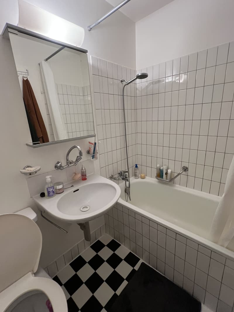 2-room Apartment in Lausanne (7)