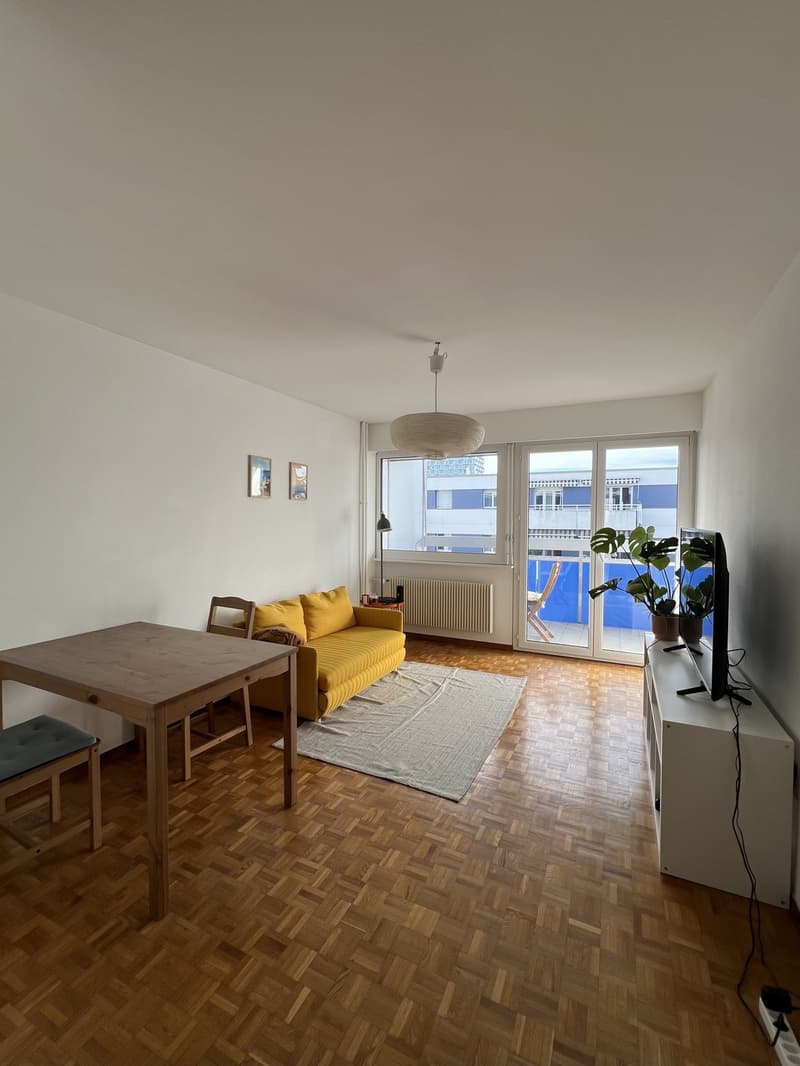 2-room Apartment in Lausanne (2)