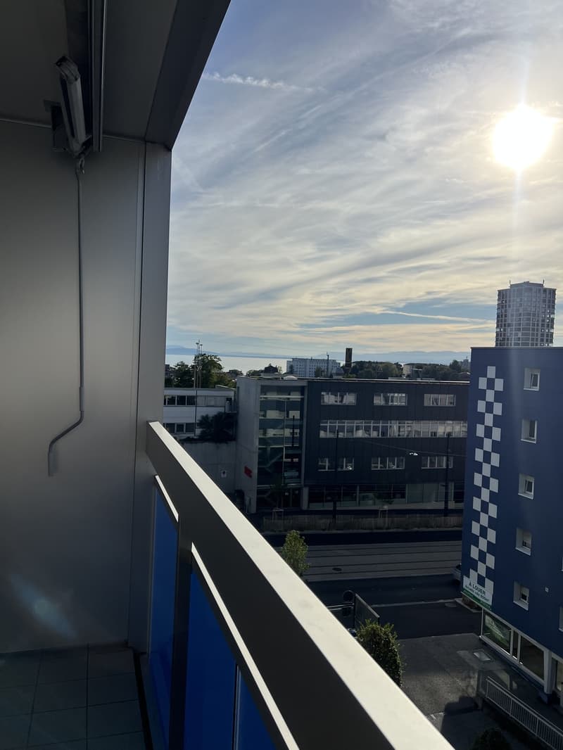 2-room Apartment in Lausanne (10)