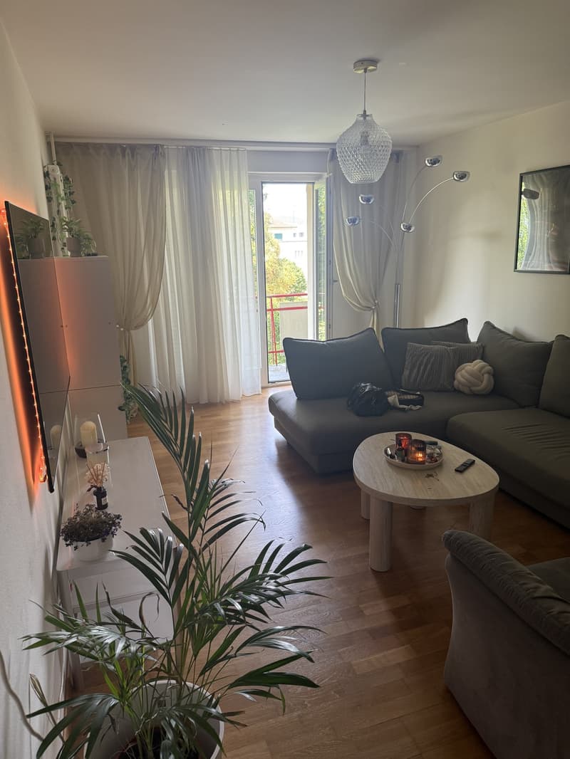 2 ½ Zimmer-Wohnung, 8953 Zurich (2)