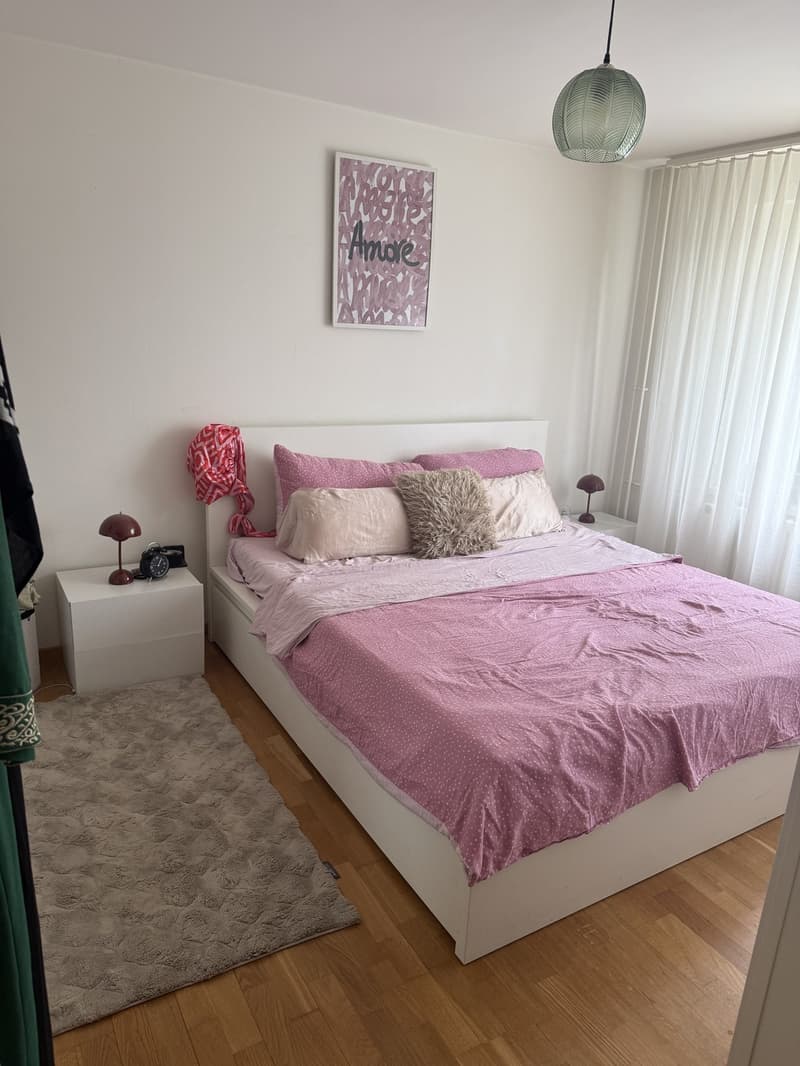 2 ½ Zimmer-Wohnung, 8953 Zurich (6)