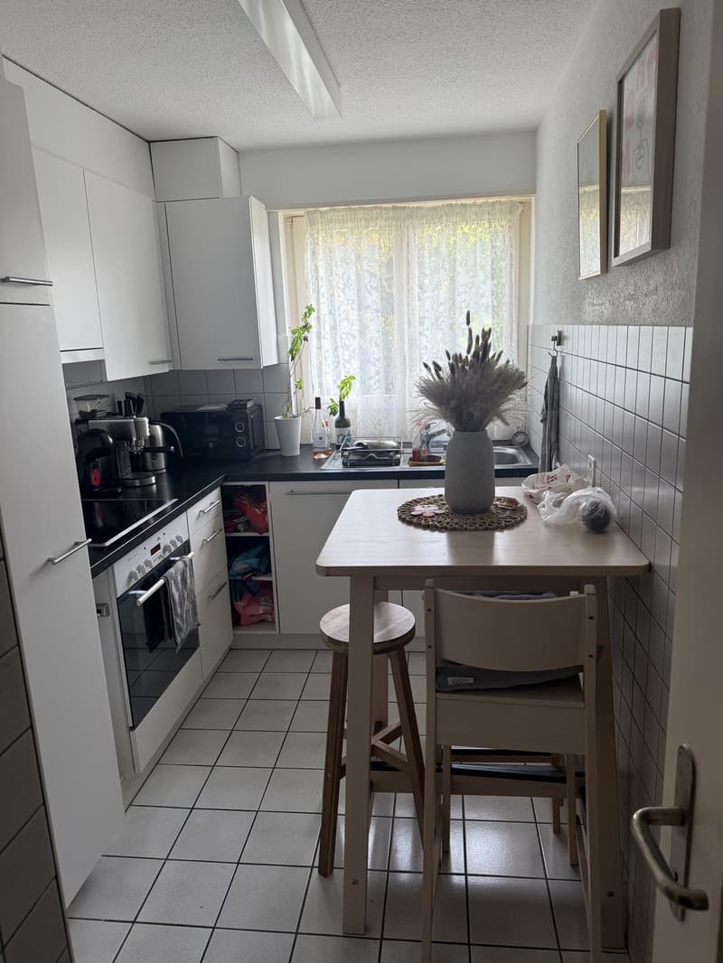 2 ½ Zimmer-Wohnung, 8953 Zurich (8)