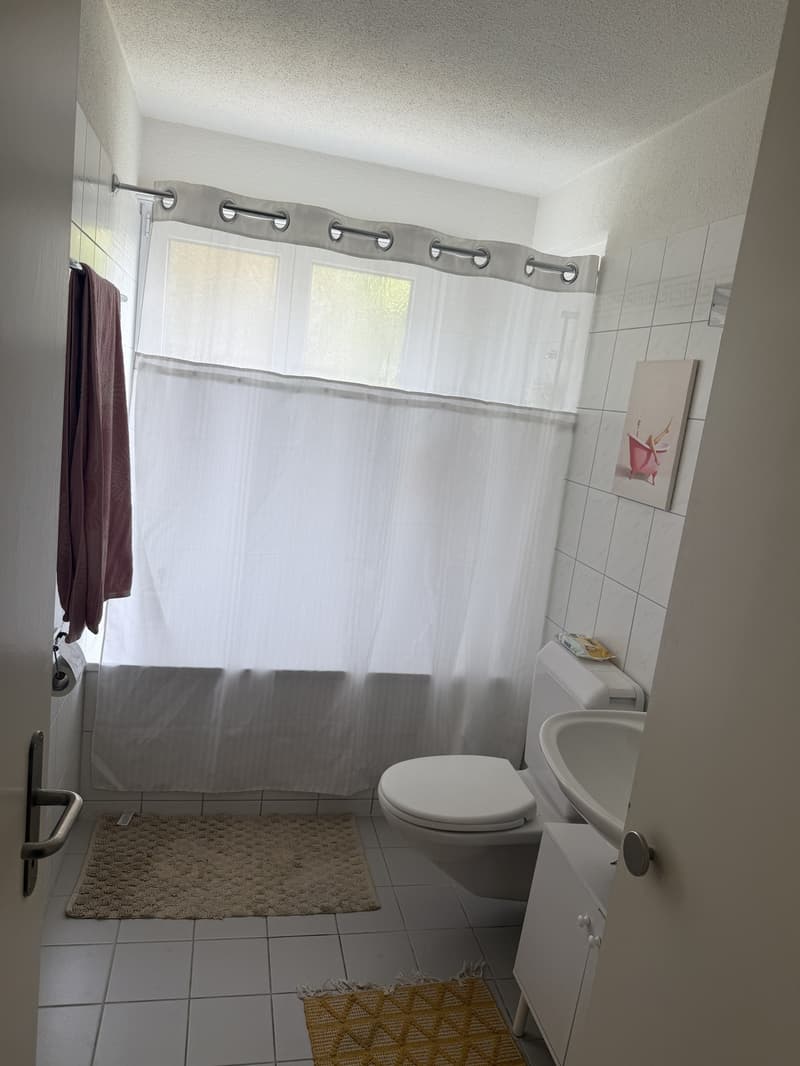 2 ½ Zimmer-Wohnung, 8953 Zurich (5)