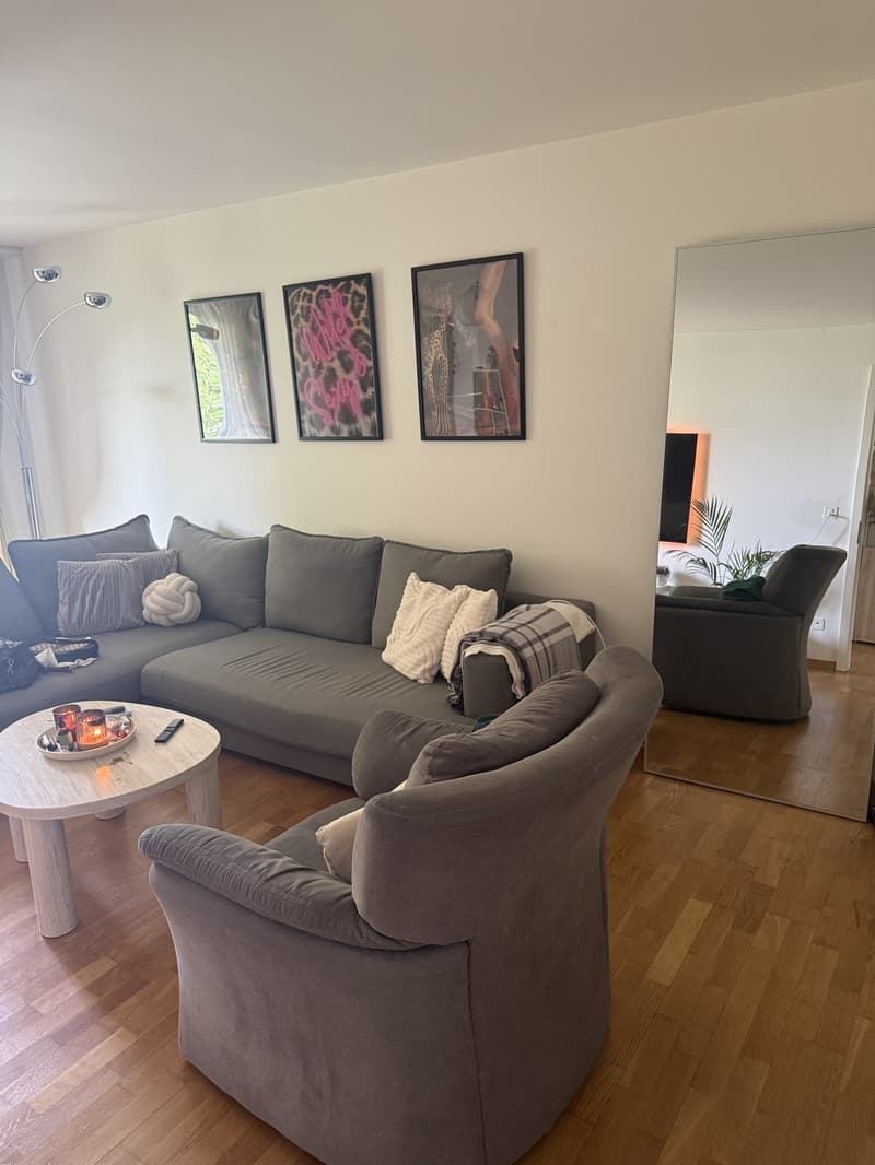 2 ½ Zimmer-Wohnung, 8953 Zurich (3)