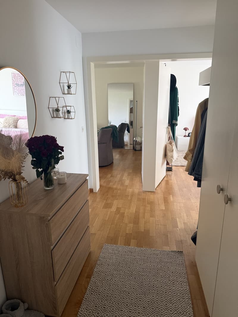 2 ½ Zimmer-Wohnung, 8953 Zurich (7)