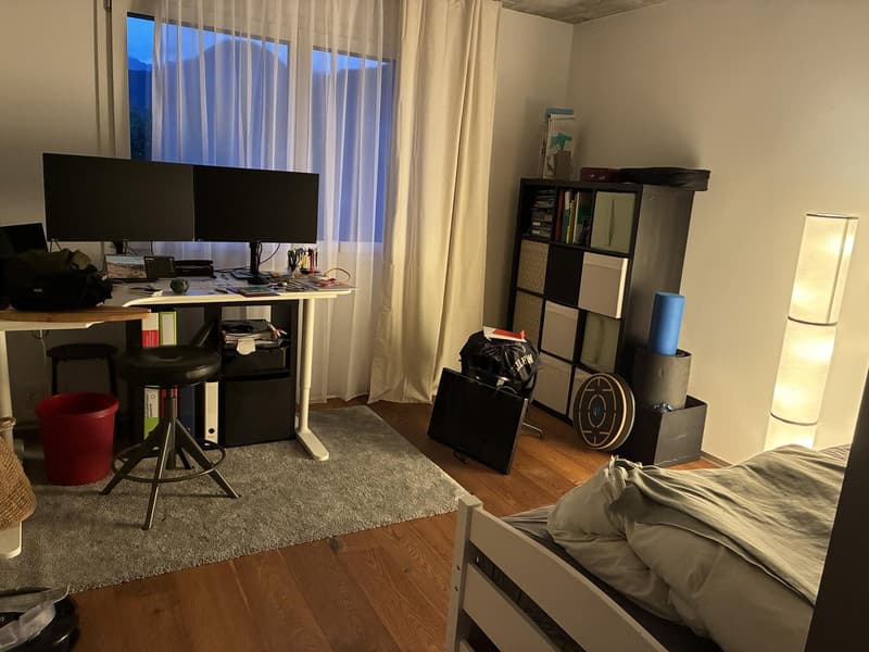 3.5 ZIMMER LOFT-WOHNUNG IN MEIRINGEN (6)