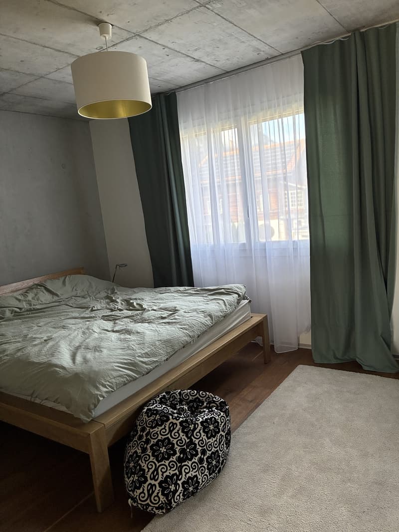 3.5 ZIMMER LOFT-WOHNUNG IN MEIRINGEN (5)