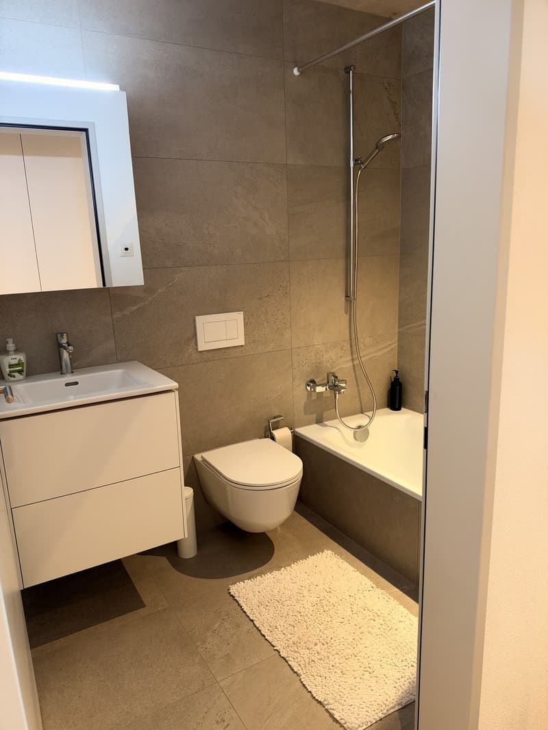 Helle und grosszügige 3,5-Zimmerwohnung mit Terrasse und eigenem Garten (10)
