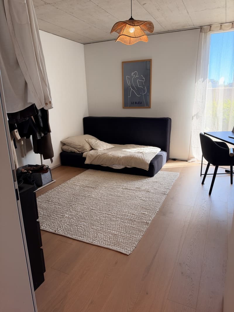 Helle und grosszügige 3,5-Zimmerwohnung mit Terrasse und eigenem Garten (7)