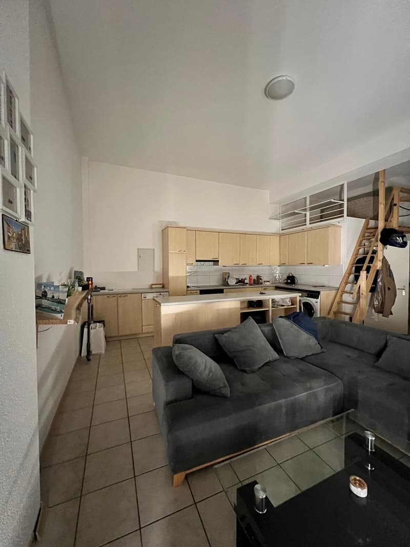1.5-Zimmer-Wohnung (2)