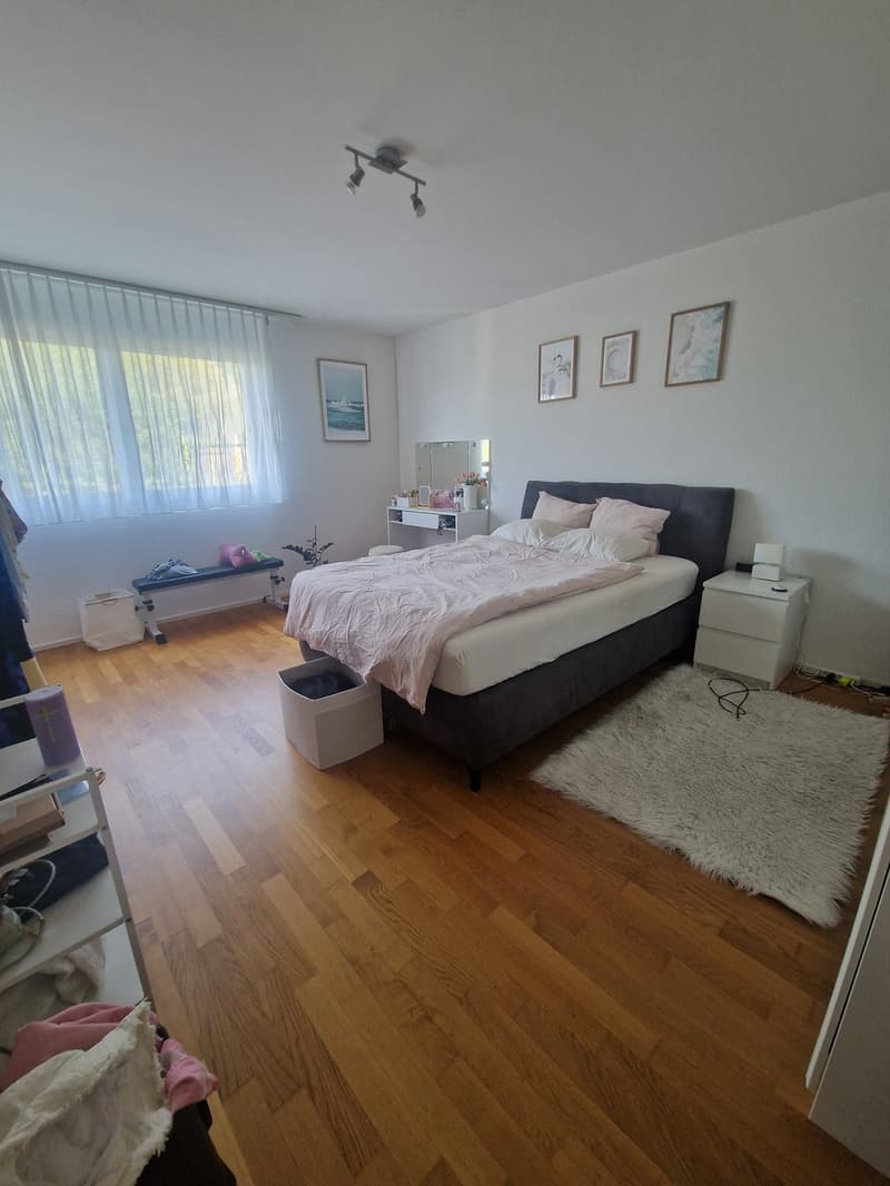 Nachmieter gesucht: 2.5-Zimmer-Wohnung in Fislisbach AG (3)