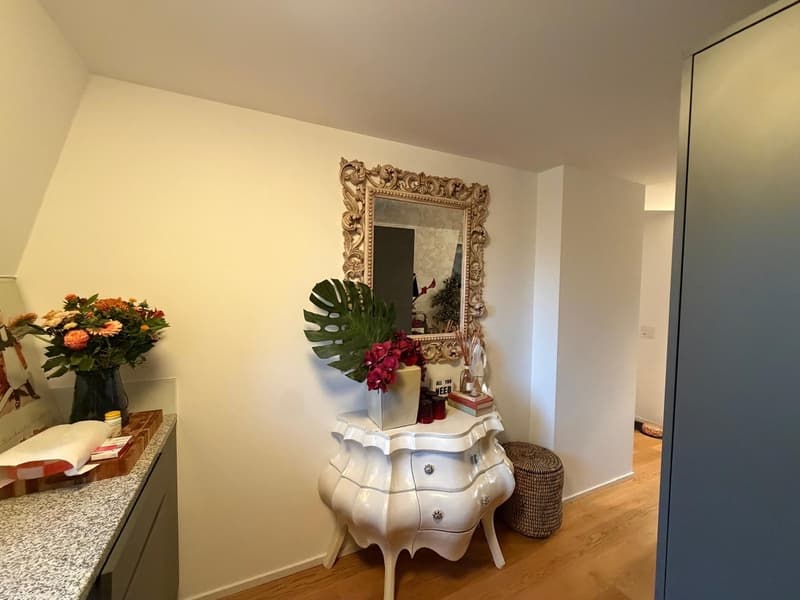 1 BEDROOM & SEPARATE LIVINGROOM APARTMENT SEEFELD (7)