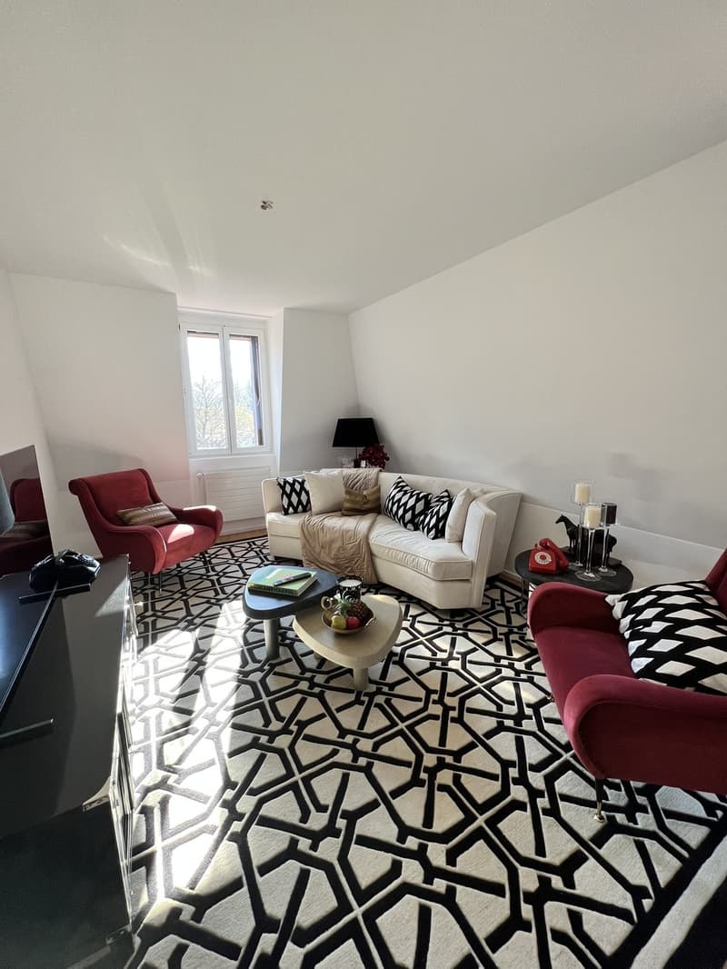 1 BEDROOM & SEPARATE LIVINGROOM APARTMENT SEEFELD (1)