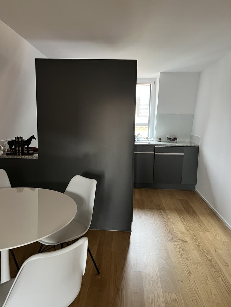 1 BEDROOM & SEPARATE LIVINGROOM APARTMENT SEEFELD (4)