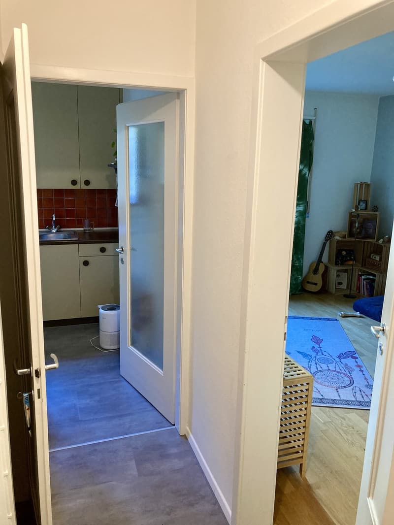 1.5 Zi.-Wohnung nahe Fluss und See (5)