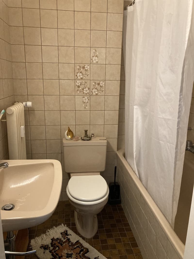 1.5 Zi.-Wohnung nahe Fluss und See (4)