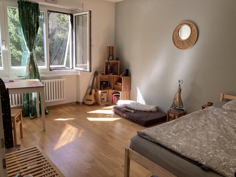 1.5 Zi.-Wohnung nahe Fluss und See (1)