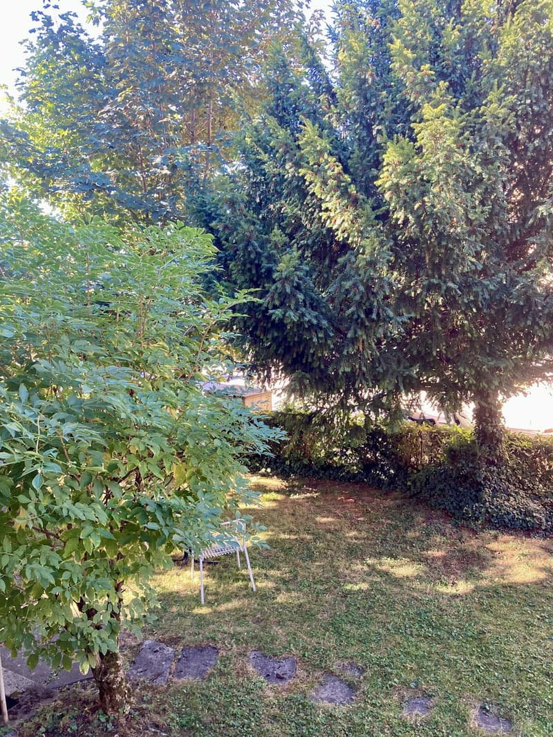 1.5 Zi.-Wohnung nahe Fluss und See (6)