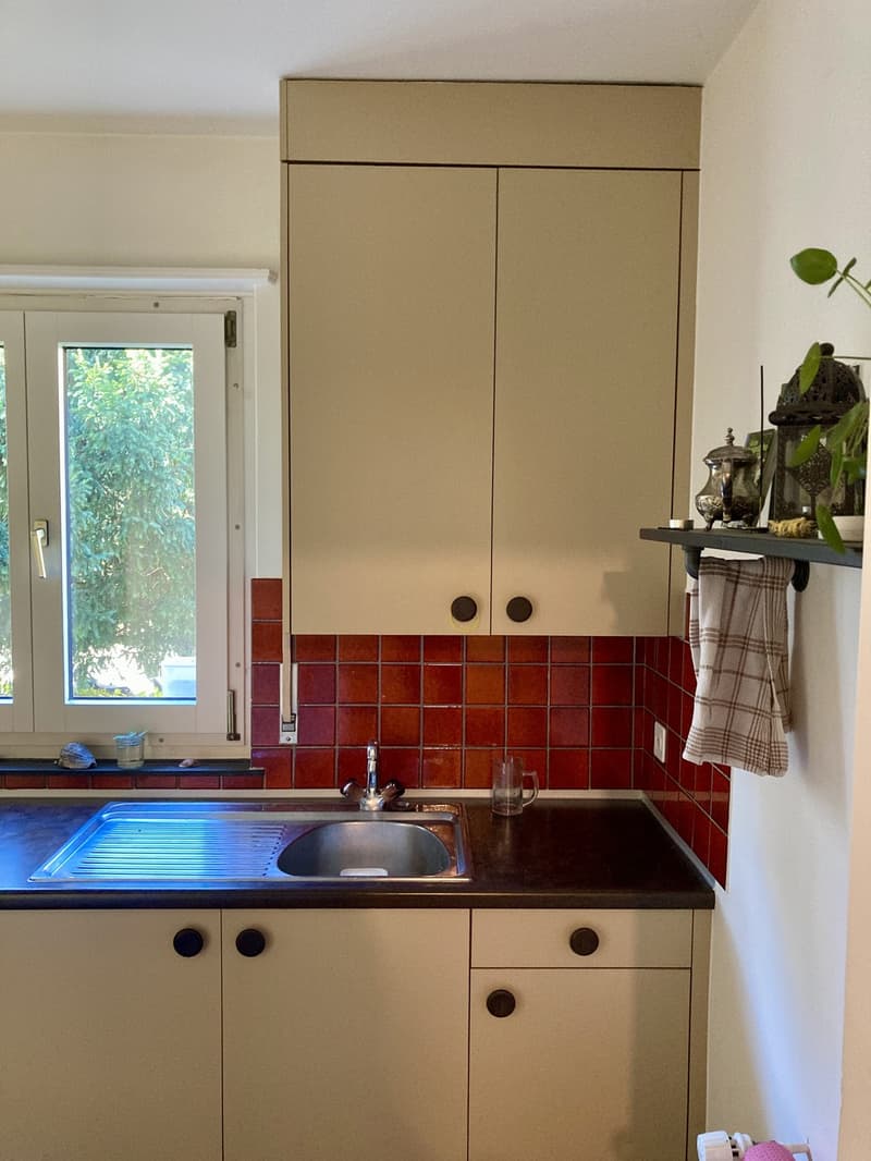 1.5 Zi.-Wohnung nahe Fluss und See (3)