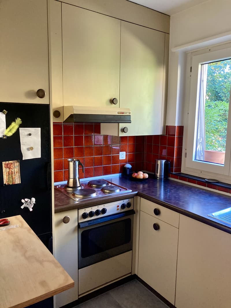1.5 Zi.-Wohnung nahe Fluss und See (2)