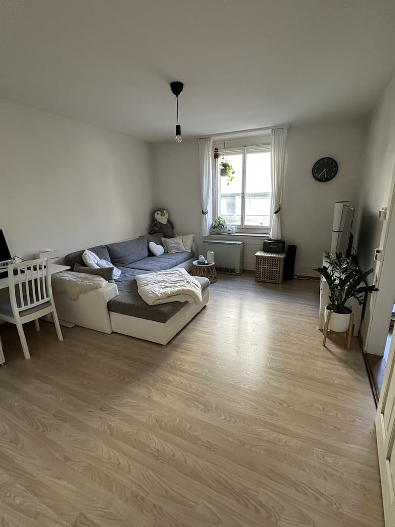 2.5-Zimmer Wohnung (1)