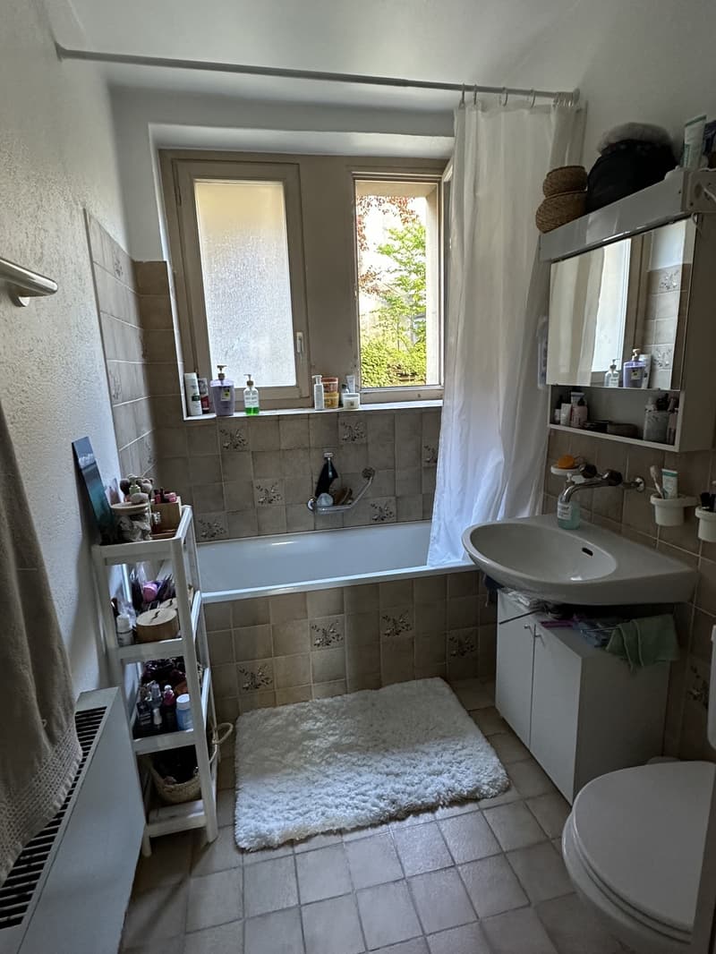 2.5-Zimmer Wohnung (8)