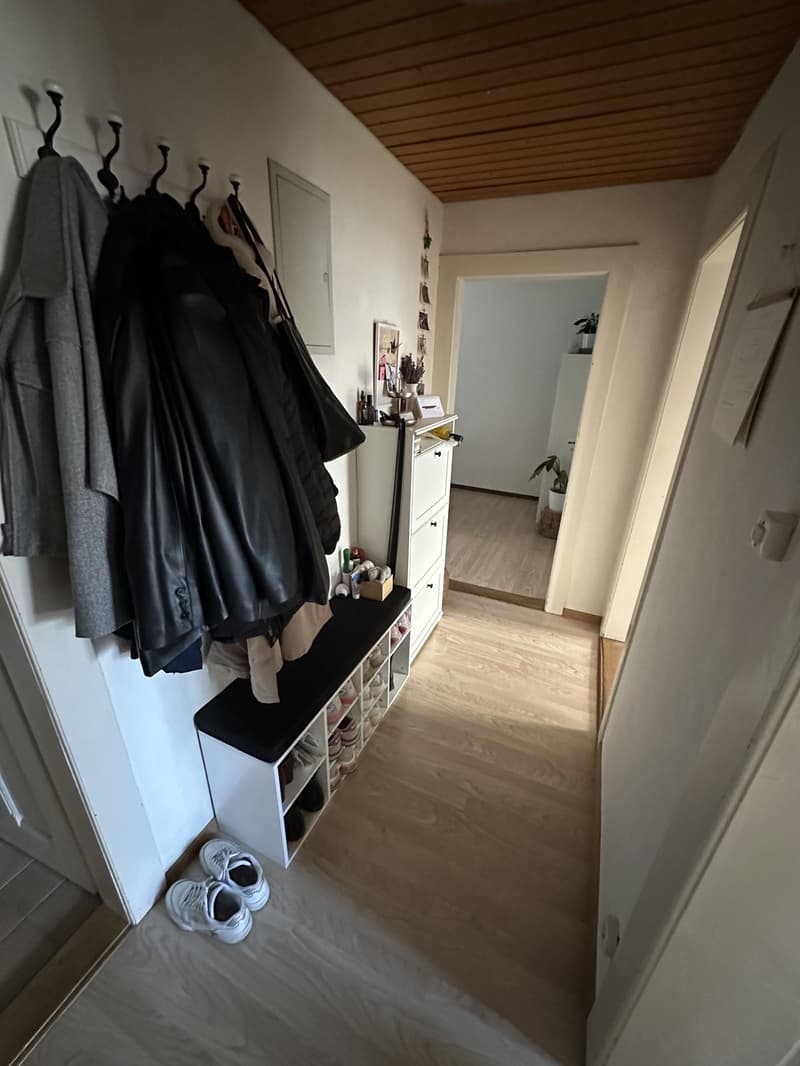 2.5-Zimmer Wohnung (5)