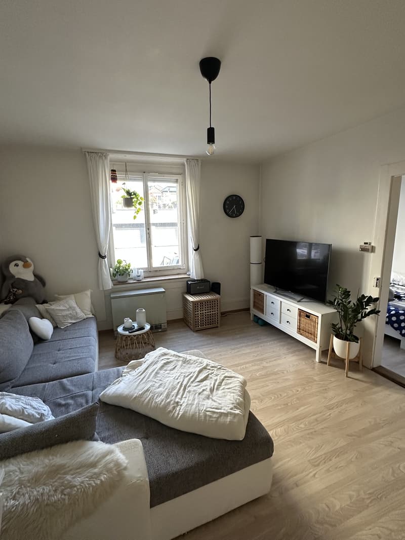 2.5-Zimmer Wohnung (2)