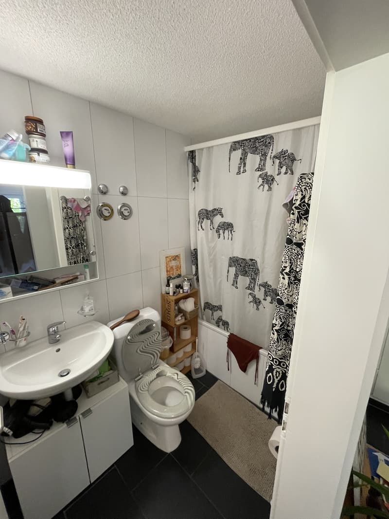 2 ½ Zimmer-Wohnung, 3032 Hinterkappelen (7)