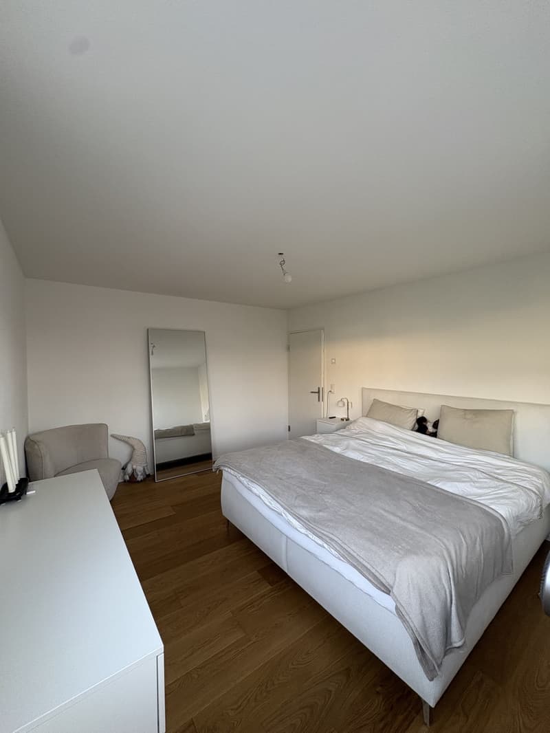 Moderne & helle 3.5-Zimmer-Wohnung in Pratteln 90 m² (4)