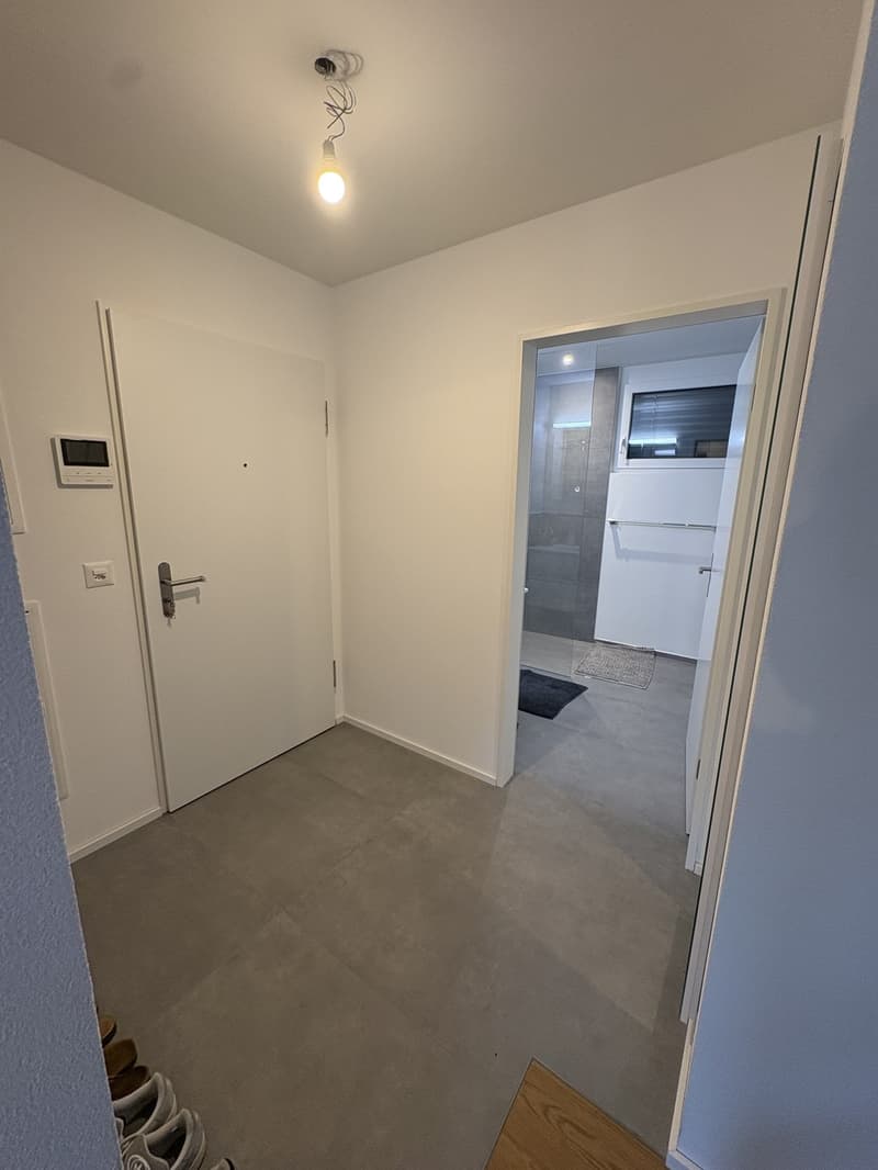 Moderne & helle 3.5-Zimmer-Wohnung in Pratteln 90 m² (9)