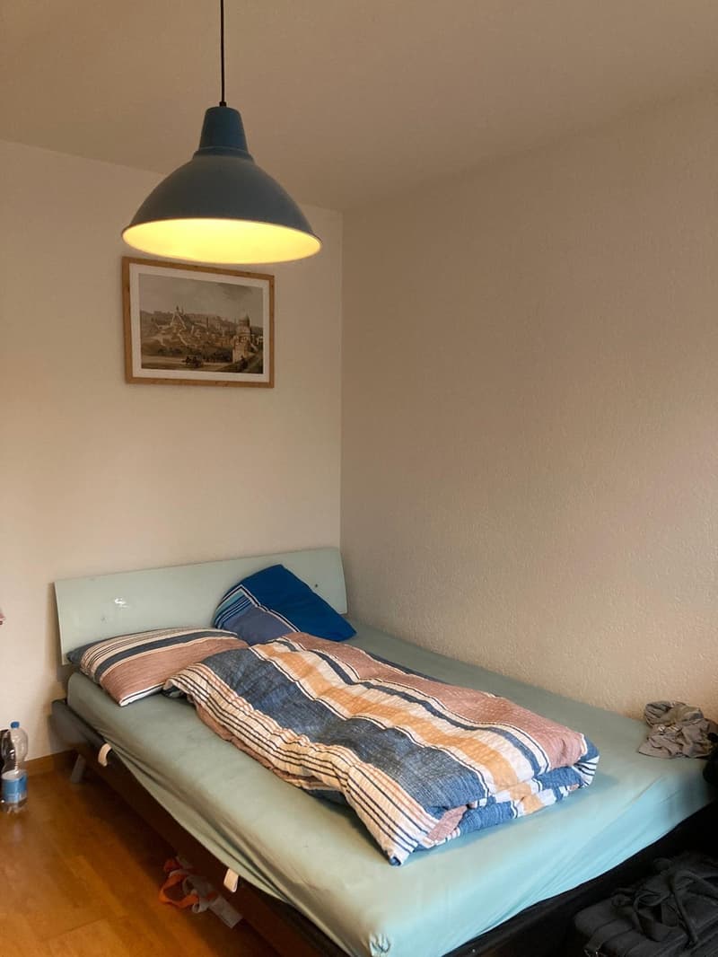 Room in shared flat (3)