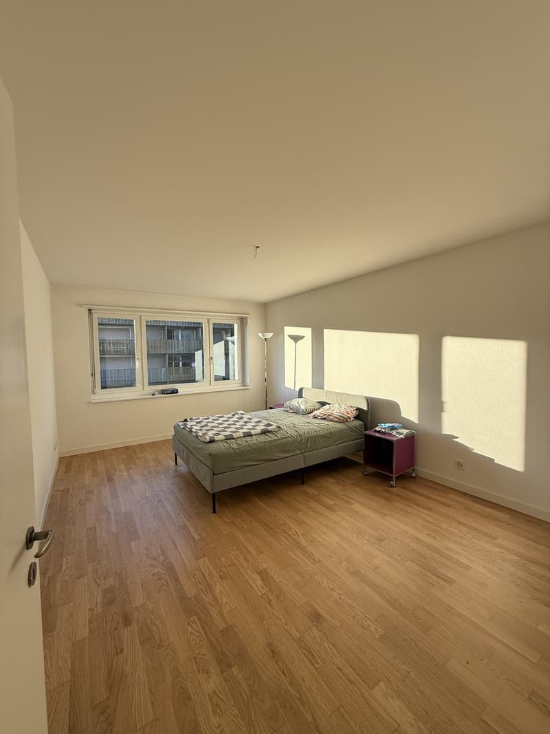 Hallo, möbliertes Zimmer in 3-Zimmer-Wohnung in Luzern / Bright, furnished room in a 3-room apartment in Lucerne (1)