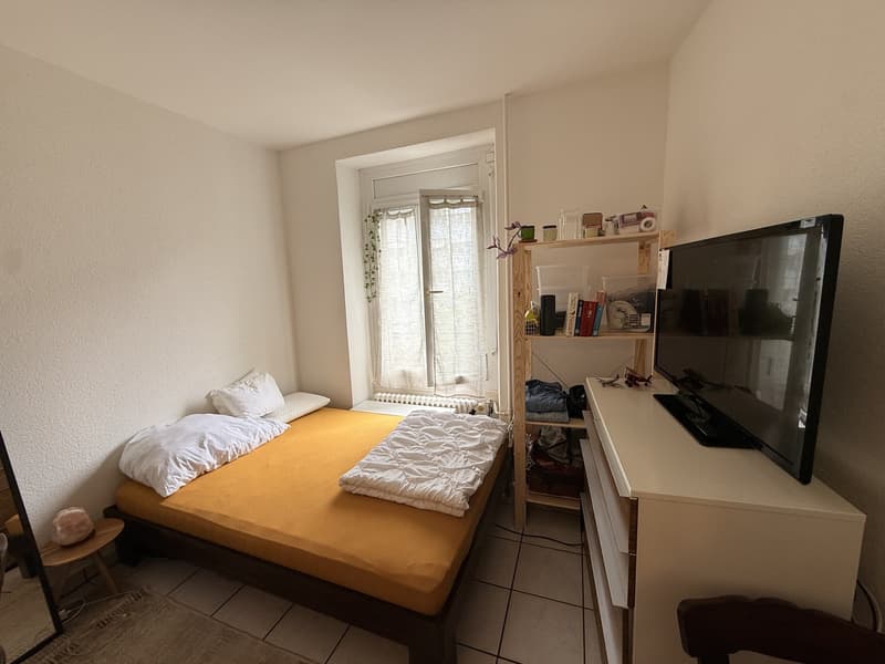 Studio in the city center of Lausanne (Behind the Cathedral) (1)