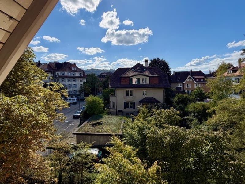 Wunderschöne Altbauwohnung an ruhiger Lage (9)