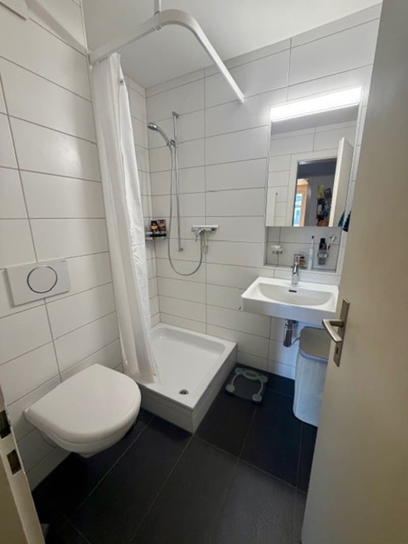 Wunderschöne Altbauwohnung an ruhiger Lage (7)