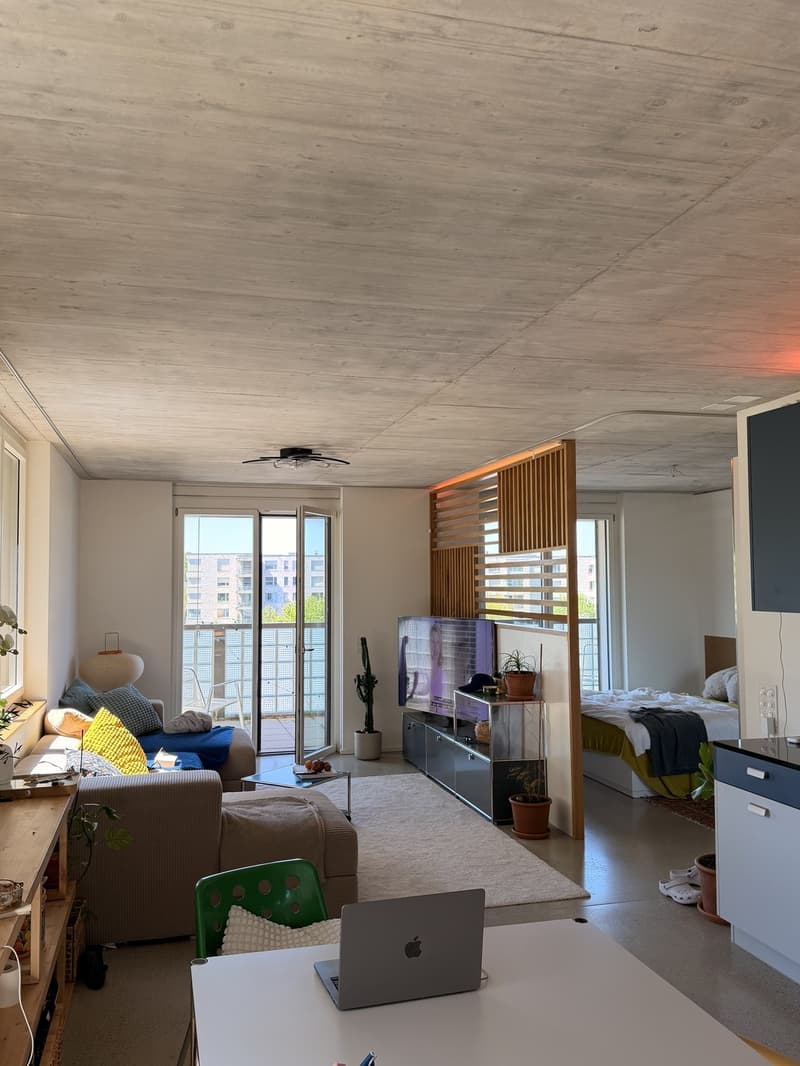 Bright Industrial Loft Next to Stettbach Station Short-Term Sublet (2)