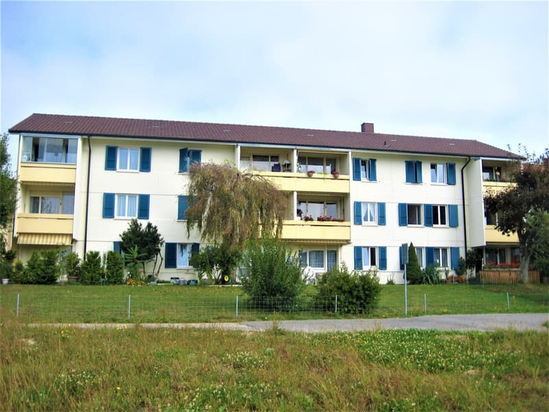 2,5-Zimmrwohnung mit Aussicht (3)